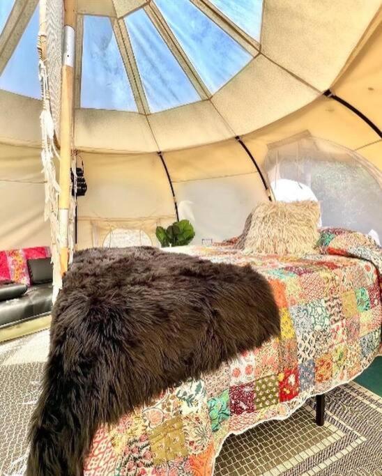The Pisces-A Stargazing, Luxury Glamping Tent Rogersville Luaran gambar