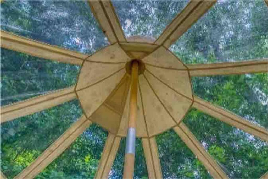 The Pisces-A Stargazing, Luxury Glamping Tent Rogersville Luaran gambar