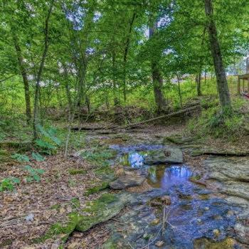 The Pisces-A Stargazing, Luxury Glamping Tent Rogersville Luaran gambar